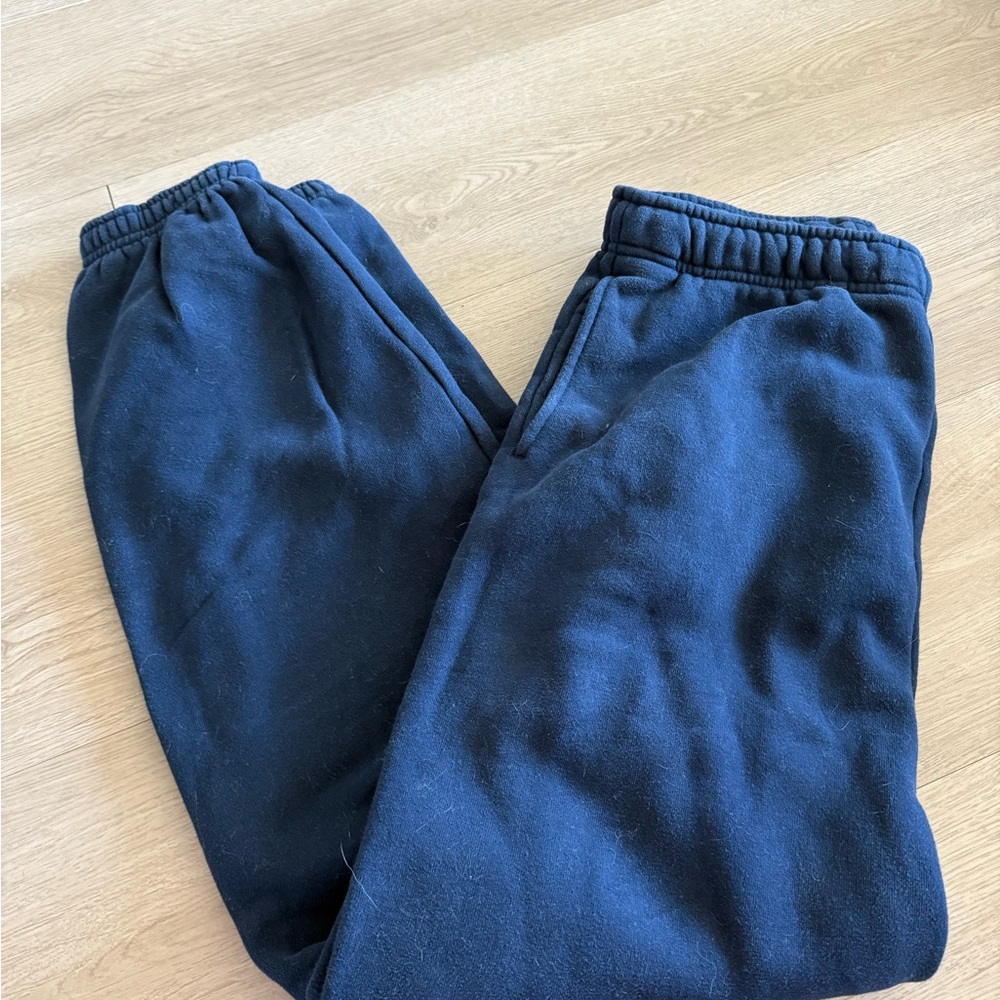 Aritzia sweatpants